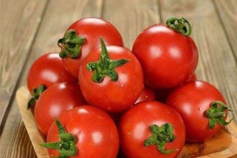 怎样使西红柿迅速变红 方法有哪些