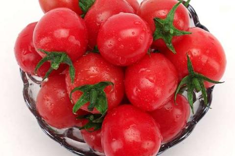 露天西红柿种植与管理（西红柿最忌讳的肥料）