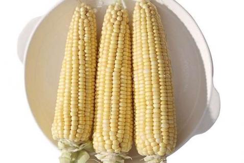 玉米打缩节胺是增产还是减产