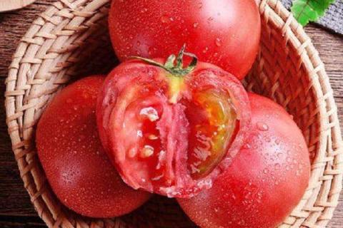 番茄用什么肥料能增甜 如何施肥甜度更高