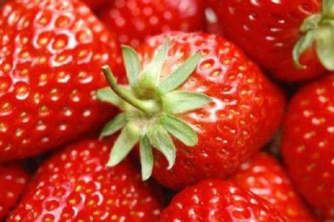 2020年草莓价格怎么样 现在多少钱一斤