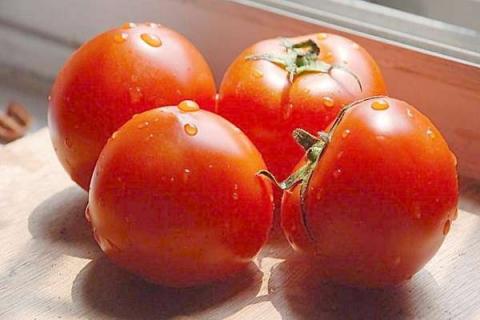 老品种西红柿种子哪有 西红柿 老品种