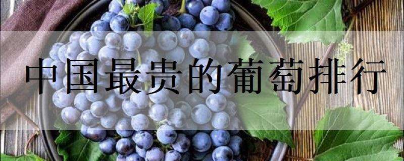 中国最贵的葡萄排行
