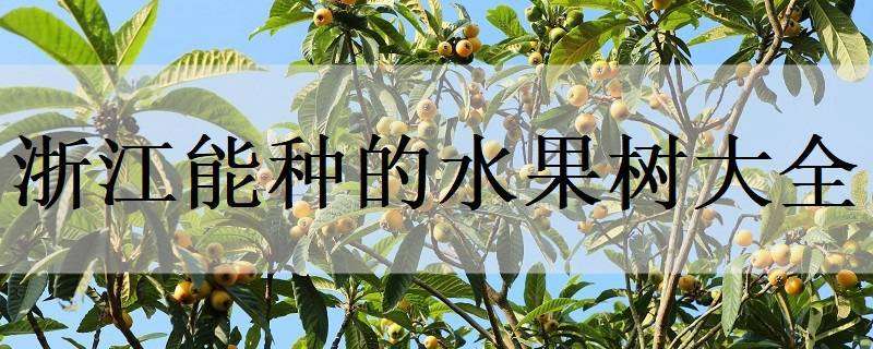 浙江能种的水果树大全