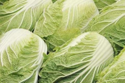 白菜能用氯化钾复合肥吗 如何施肥更高产