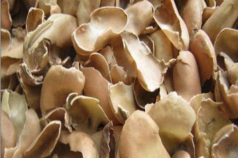 蚕豆壳可以做花肥吗 是否需要腐熟