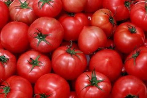 如何自制西红柿肥料 配置方法有哪些