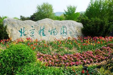 北京植物园门票多少钱一张 北京植物园门票多少钱一张2023