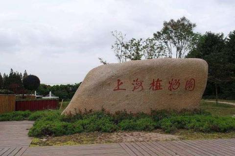 上海植物园有什么好玩的景区（上海植物园有什么好玩的景区吗）