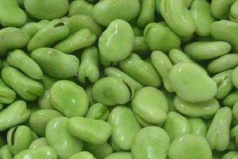 蚕豆是什么植物（蚕豆是什么植物玉米是什么植物）