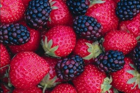 草莓属于浆果类吗 草莓的种植方法