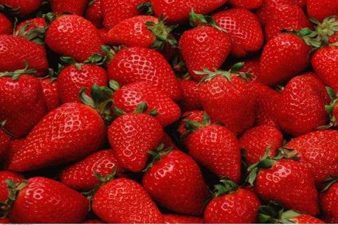 草莓属于浆果类吗 草莓的种植方法