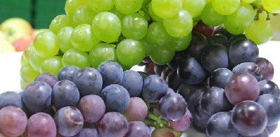 葡萄怎么家庭养殖 葡萄有哪些养护技巧