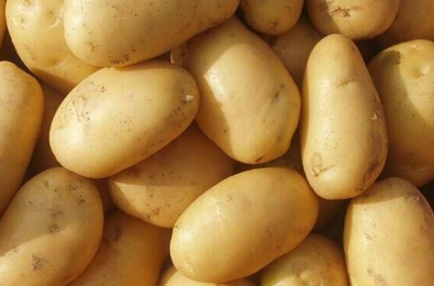 让土豆增产的种植管理技巧有哪些 让土豆增产的种植管理技巧有哪些方法