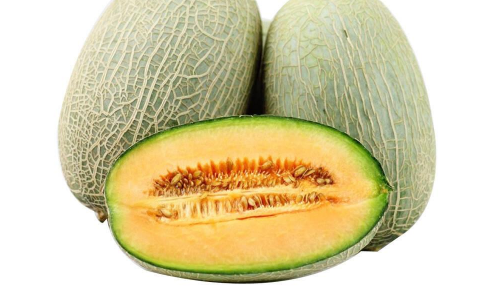 哈密瓜的种植条件是什么 哈密瓜的种植技术与栽培