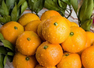 柑橘怎样能增甜（柑橘怎样能增甜呢）