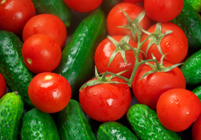 大棚黄瓜番茄如何合理施肥 施肥方法总结