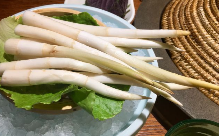 象牙菜种植技术有哪些 象牙菜怎么养殖