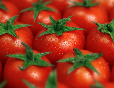 番茄需肥特点（番茄需肥规律曲线）