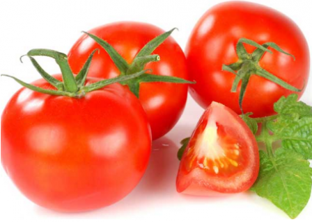 西红柿种子要怎么育苗 养殖注意事项有哪些