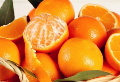 立冬过后采摘柑橘需要注意哪些要点 立冬过后采摘柑橘需要注意哪些要点和事项