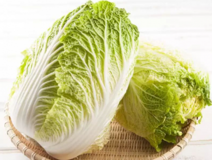种白菜如何补施钙肥（种白菜如何补施钙肥呢）