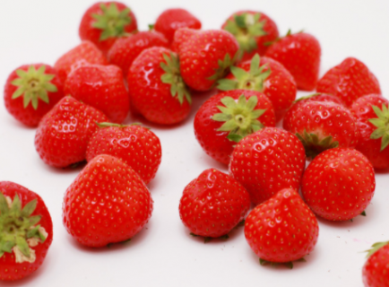 草莓种植时间和方法 秋季草莓种植时间和方法