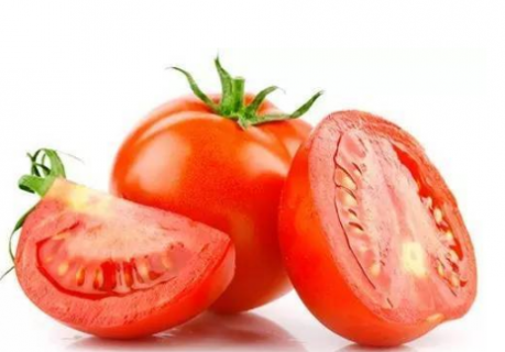 番茄春季育苗苗床管理的技术 番茄春季育苗苗床管理的技术有哪些