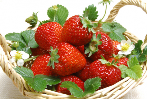 草莓的种类有哪些 草莓的种类有哪些画画