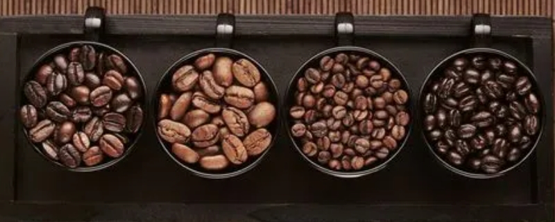 咖啡豆品种