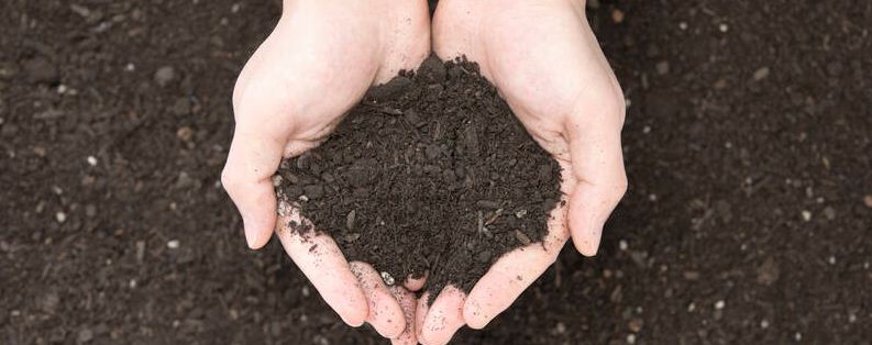 土壤肥力与哪些因素有关(  土壤肥力与哪些因素有关