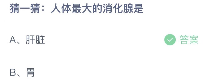 蚂蚁庄园11.2最新答案：人体最大的消化腺是肝脏还是胃？