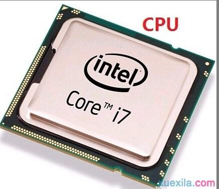 CPU接口类型的术语