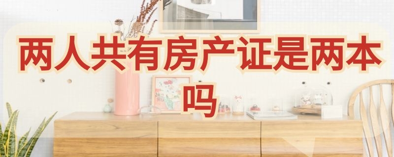 两人共有房产证是两本吗（两个人共有房产有几本房产证）