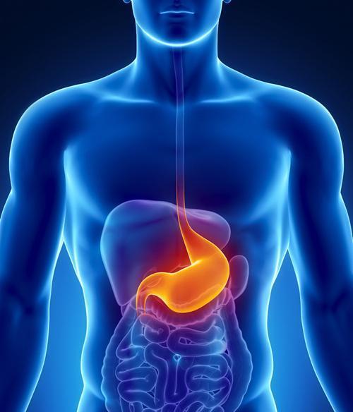慢性胃炎吃什么食物好养胃食谱 慢性胃炎吃什么食物好
