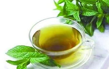 桑叶茶泡水喝有什么功效和作用禁忌 桑叶茶泡水喝有什么功效