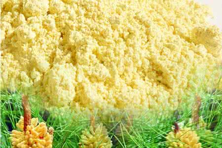 松花粉的功效与作用及食用方法用量杏仁 松花粉的功效与作用及食用方法
