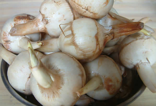 茨菇怎么做好吃又简单 慈菇