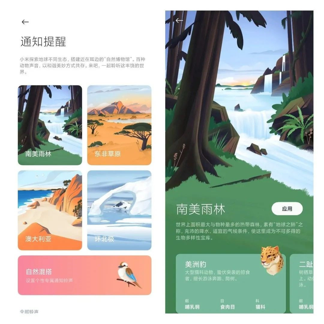 MIUI12.5怎么样