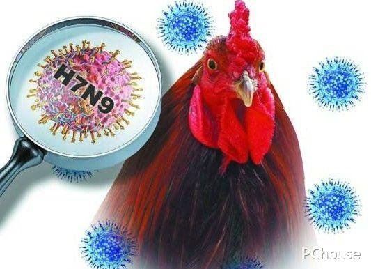 h7n9防控措施 H7N9诊疗方案