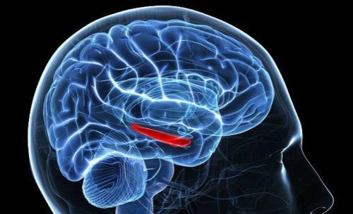 脑神经衰弱的症状都有什么表现吃什么药 脑神经衰弱的症状都有什么表现