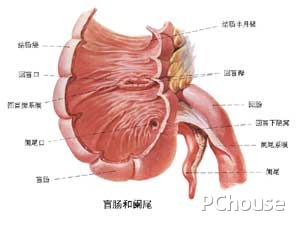 阑尾炎手术后的注意事项及饮食 阑尾炎手术后的注意事项