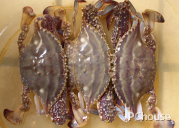 梭子蟹饮食禁忌 食用梭子蟹的注意事项