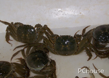 食用河蟹的注意事项和禁忌 食用河蟹的注意事项