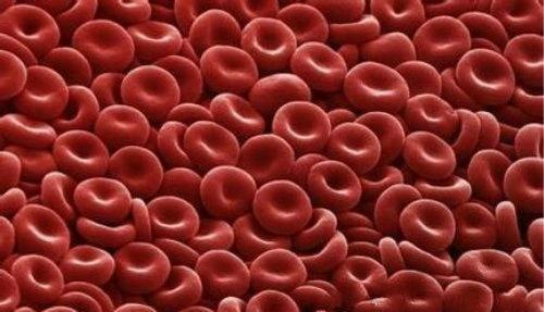 红细胞压积 红细胞压积什么意思