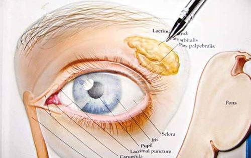 眼眶肿瘤的偏方 眼眶肿瘤的偏方有哪些
