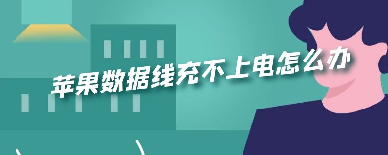 苹果数据线充不上电怎么办 苹果数据线充不上电怎么办但是未端很热