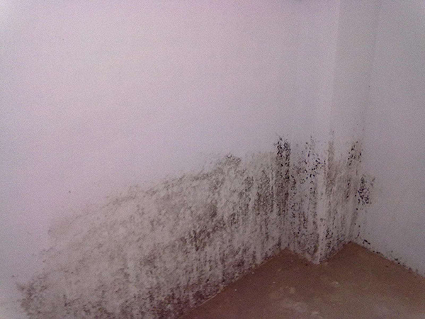 空气湿度增加墙面易发霉（空气湿度多少墙壁会发霉）