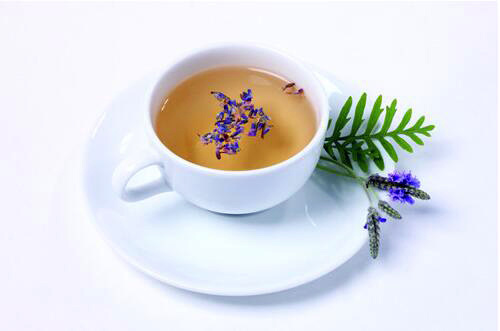 科普饮用玉兰花茶的作用以及方法 科普饮用玉兰花茶的作用以及方法是什么