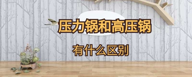 压力锅和高压锅有什么区别